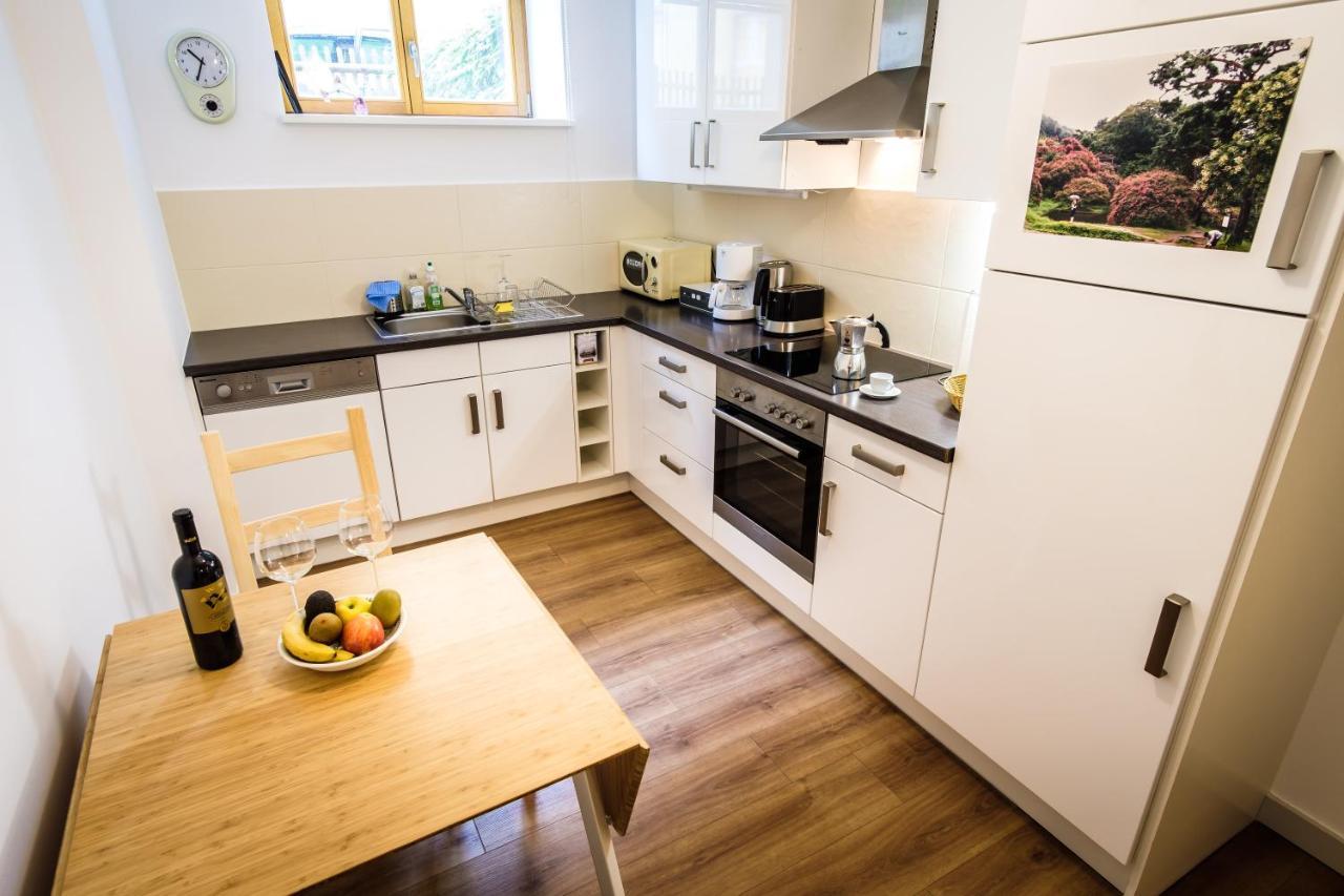 Wunderschoene Wohnung In Sanierter Villa! Incl Wifi Дрезден Екстер'єр фото